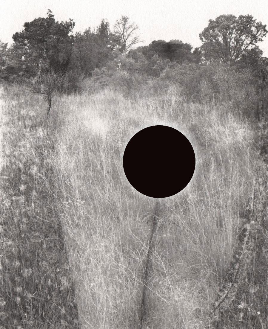 HARRY CALLAHAN - Aix-en-Provence, 1958 (1 of 2)