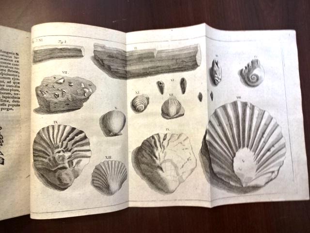 1729 Epistola Itineraria Bruckmann Shells (1 of 2)