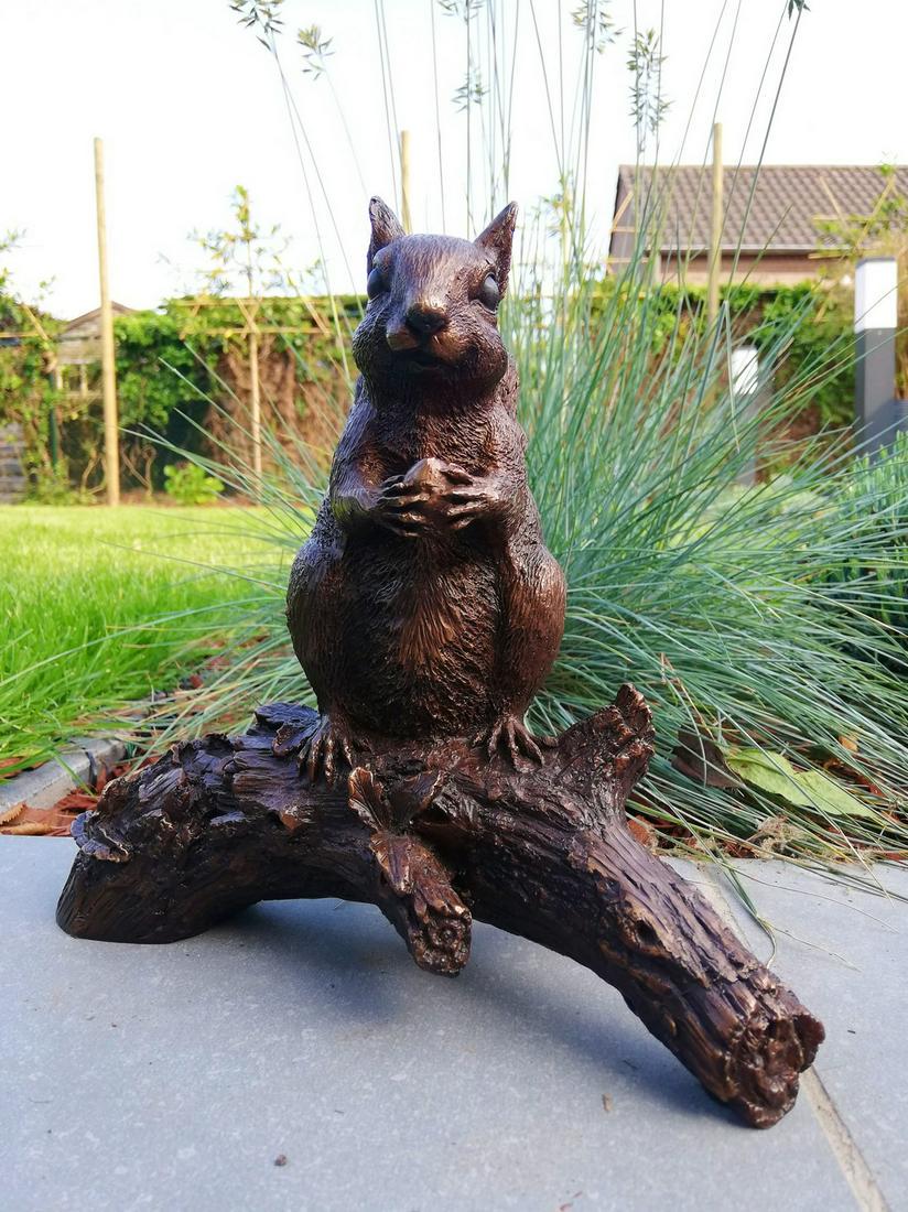 Bronze squirrel sculpture: Title: Bronze squirrel sculpture Maker: unknown Origin: Belgium Date/Period: 1980-1999 Materials:Bronze Dimensions:Height: 24 cm / 9.6 inchesWidth: 22 cm / 8.8 inches Description:A beautifully detaile