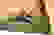 item-87412374=7