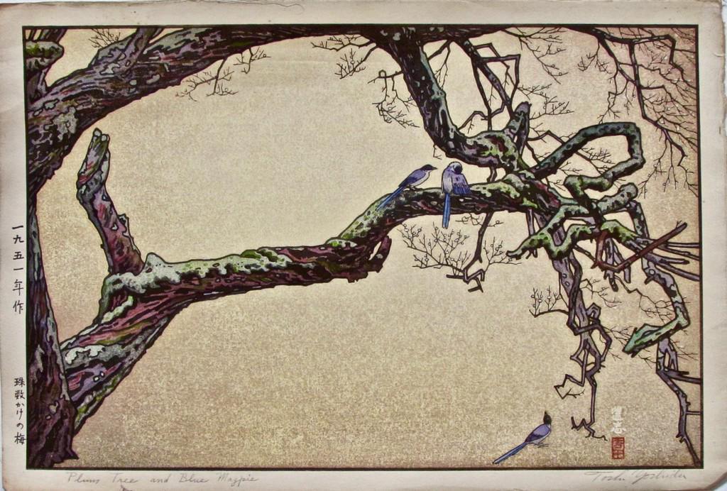 Toshi Yoshida: Plum Tree and Blue Magpie: Artist: Toshi YOSHIDA (1911-1995) Subject: Plum Tree and Blue Magpie Publisher: Self Signature: Toshi Yoshida in pencil Date: 1951 Format: 40.5 x 27.4 cm Condition: Fine impression, color and conditio