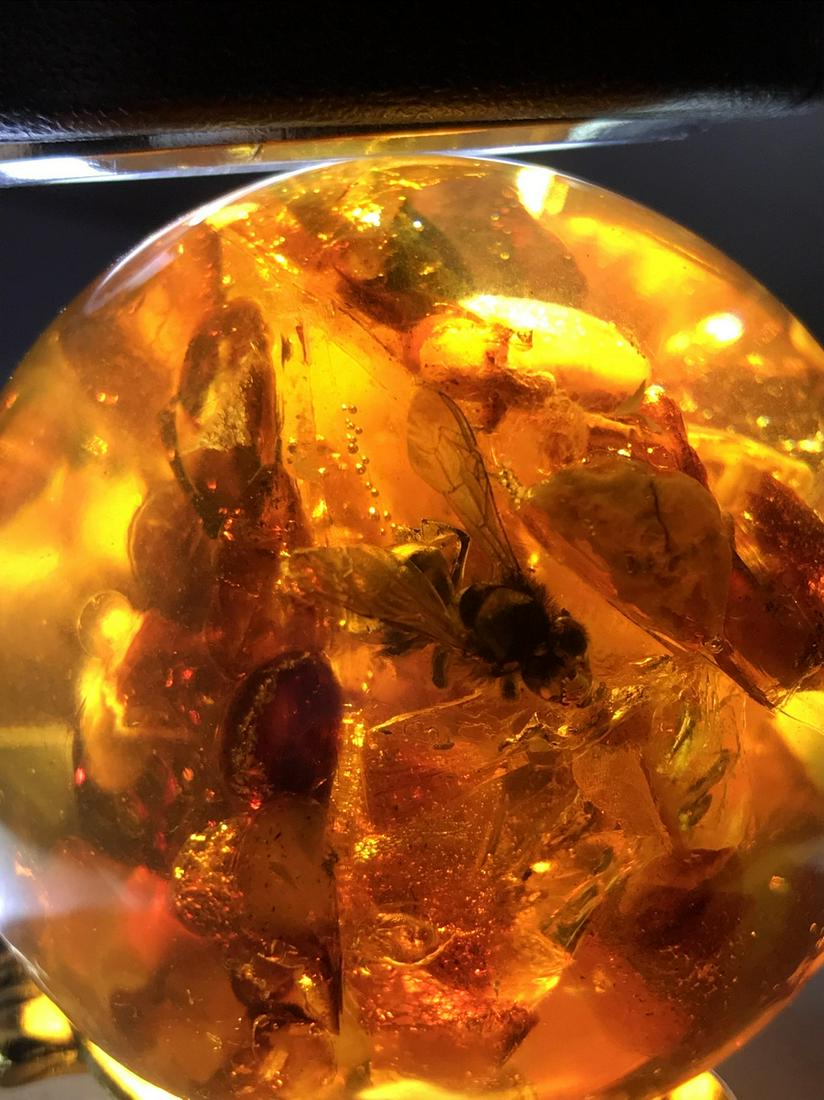 Marvellous Vintage Amber Ball with inclusion on a (1 of 8)