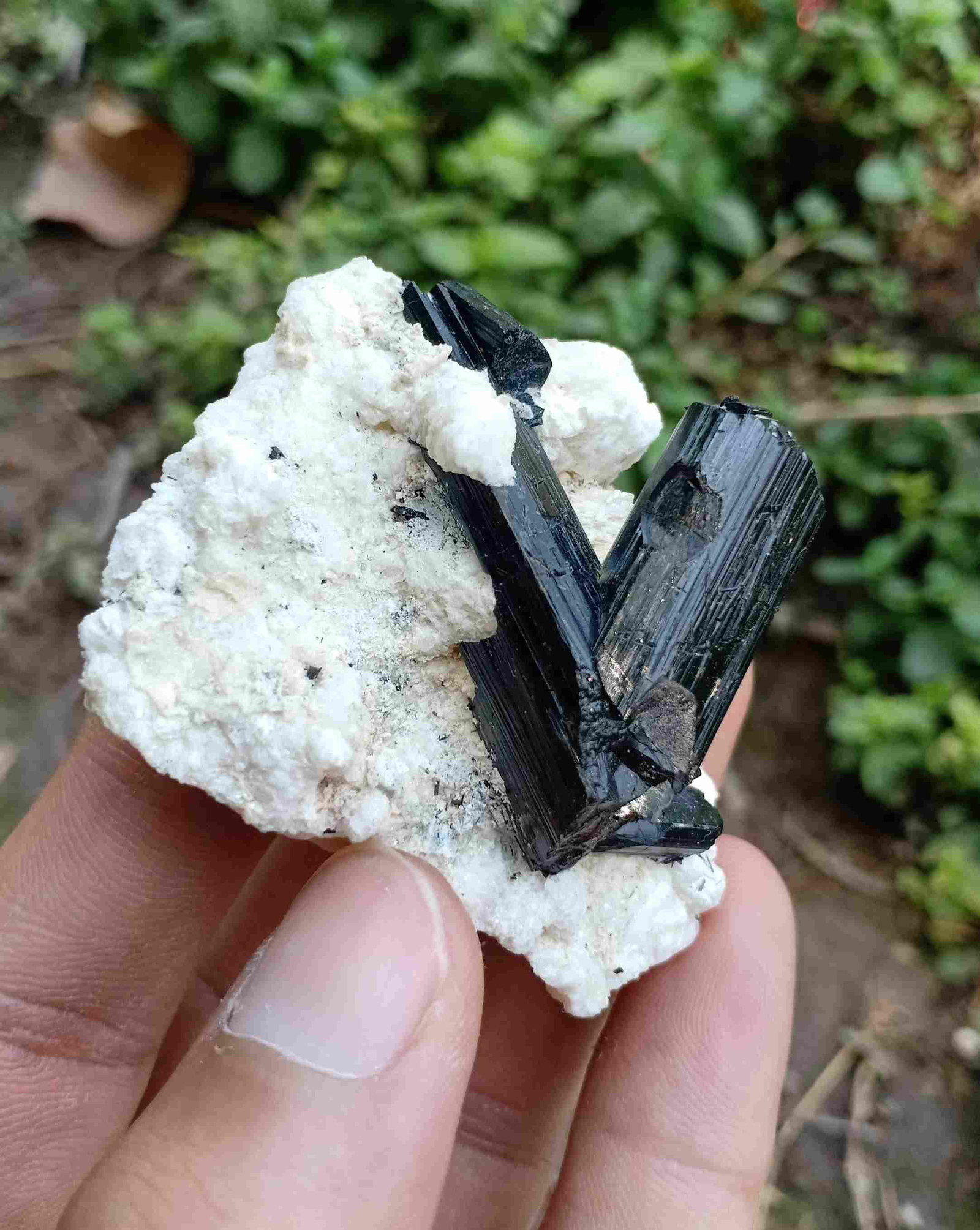 49 Gram Fantastic Natural Black Tourmaline With: Title: 49 Gram Fantastic Natural Black Tourmaline With Albite Specimen Treatment: Natural Gemstones: Tourmaline Weight: 49 Gram Size/Dimensions: 58x45x28 mm Origin: Pakistan Reserve: $10.00 Shipping:<