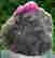 item-87632023=2