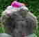 item-87632023=3