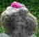 item-87632023=4