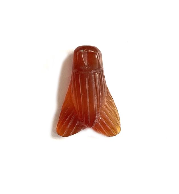 Egyptian Cornelian Fly Amulet, c. 600 B.C.: Title: Egyptian Cornelian Fly Amulet, c. 600 B.C. Date/Period: Egypt, c. 600 B.C. Addirional Information: Finely carved with realistic features, drilled for suspension at the top by the head. The wear