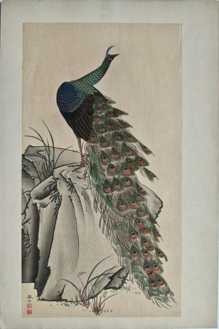 Mori Tetsuzan: Peacock on a Rock: Artist: Mori TETSUZAN (1775-1841) Subject: Peacock on a Rock Signature: Tetsuzan Date: c. 1910 Format: dai-ôbain, 26.5 x 40 cm Comment: This is a woodblock print of a painting by Tetsuzan. Condition: