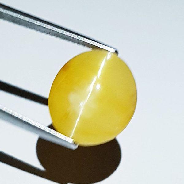 8.65 ct Natural Opal Cat's Eye: No Reserve! Title: 8.65 ct Natural Opal Cat's Eye Color/Clarity: Semi Transparent Gemstones: Loosegemstone Carat Weights: 8.65 Size/Dimensions:15.45 x 13.55 x 7.50 Additional Info:Oval - Africa Shippi