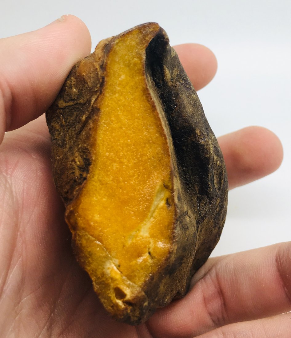 Unique and Staggering Raw Amber Stone (1 of 9)