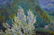 Oil painting Mountain landscape - 5