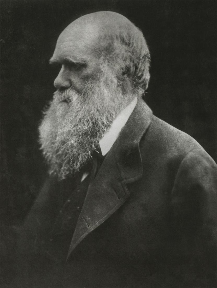 Julia Margaret Cameron- Charles Darwin, 1868 (1 of 1)