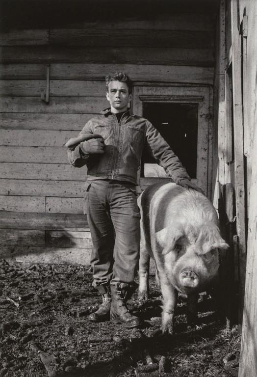 Dennis Stock- James Dean at Winslow Farm with Sow, 1955: Artist: Dennis Stock Title: James Dean at Winslow Farm with Sow, 1955 Medium: Photo Litho, 2008, Germany Dimensions: 6.45x9.45" Additional Information: Heat Wax Mounted on 8.5x11" Conservation Board. 
