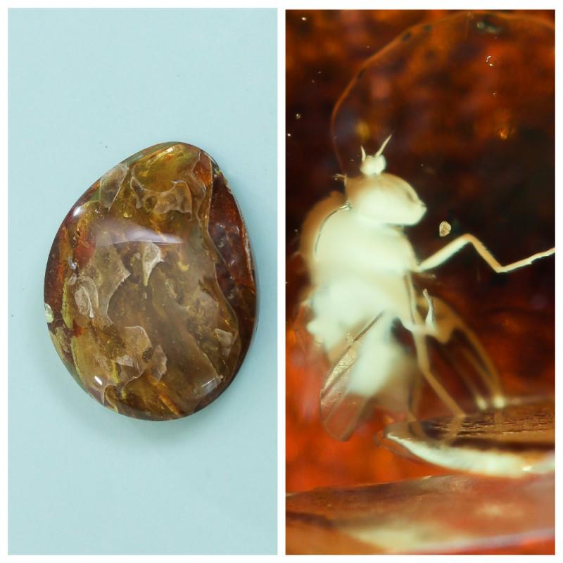 45 g. insect in 100% Natural Baltic amber stone: Faceted pendant shape unique amber piece with inclusion which is 45-50 million years old. Collectible piece! Extra big inclusion. Weight: 45 gram Inclusion: Fly (Diptera) Size: 21x53x68 mm Age: 45-50 