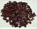 89 Grams Natural Rough Ruby Crystals Lot - 4