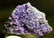 695.5 Grams Museum Grape Agate , BOTRYOIDAL CHALCEDONY - 4