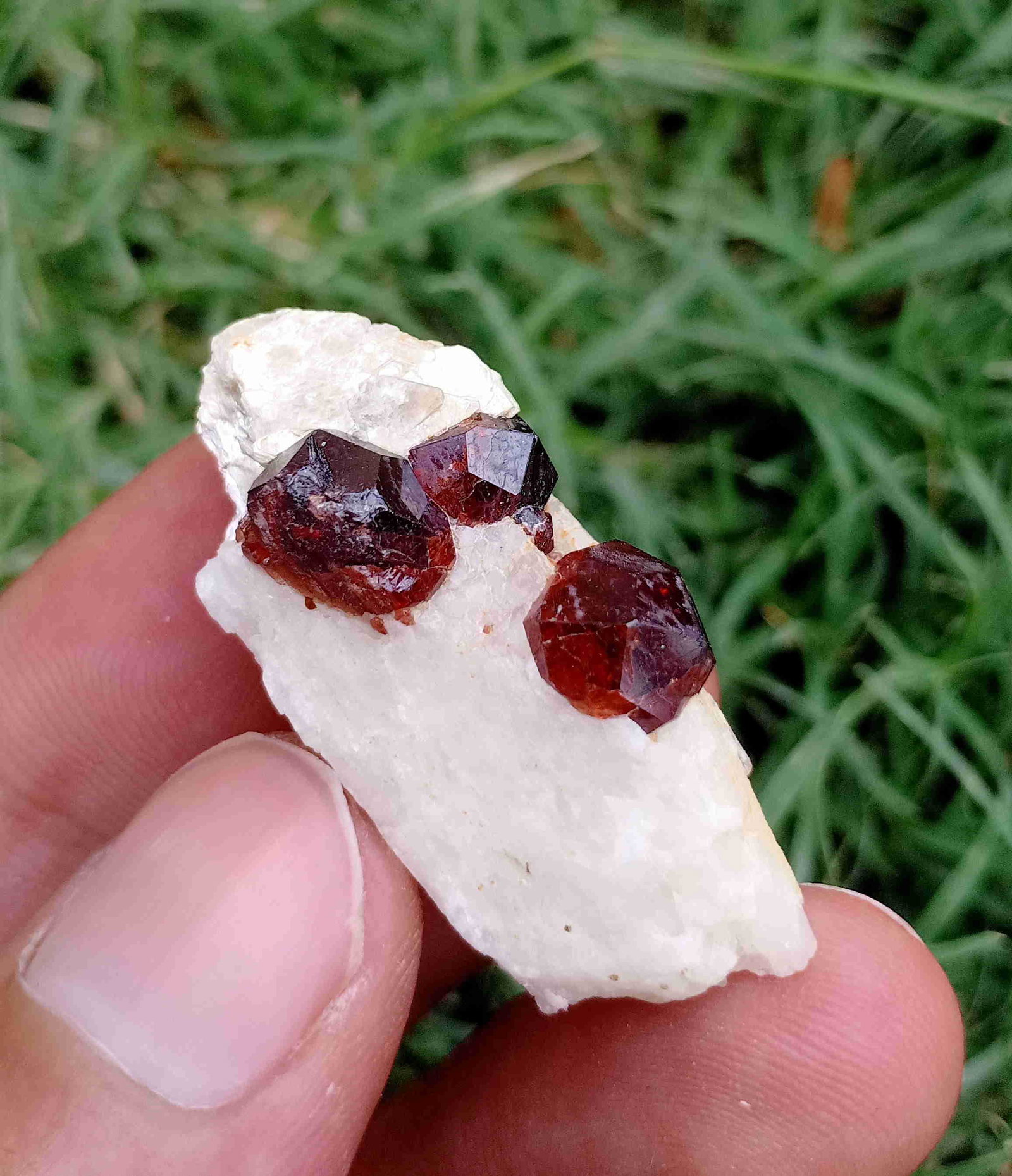 8 Gram Natural Spessartine Garnet Specimen: Title: 8 Gram Natural Spessartine Garnet Specimen Treatment: Natural Gemstones: Spessartine Garnet Weight: 8 Gram Size/Dimensions: 35x17x12 mm Origin: Pakistan Reserve: $10.00 Shipping: Domestic: Flat