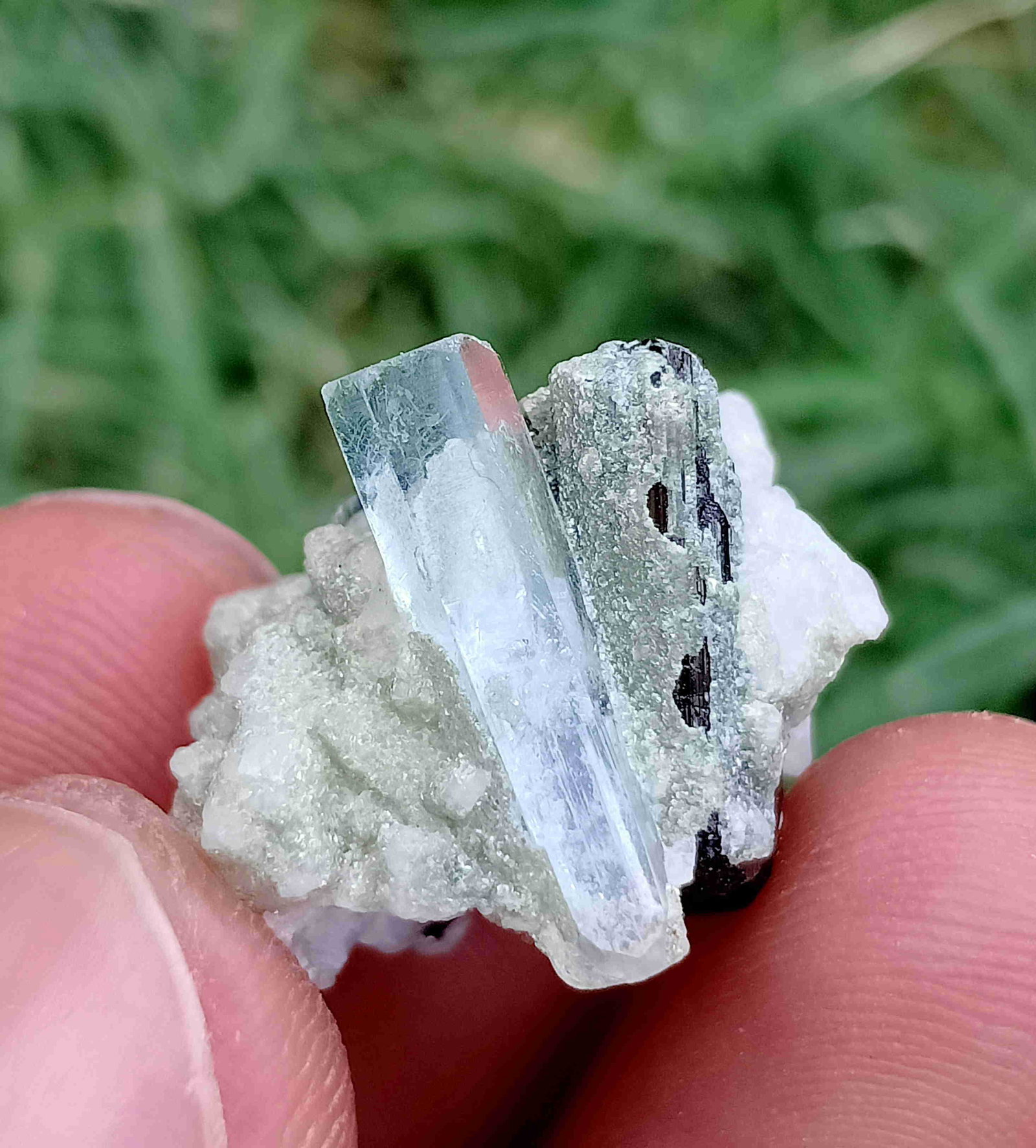 5 Gram Amazing Natural Aquamarine With Tourmaline: No Reserve! Title: 5 Gram Amazing Natural Aquamarine With Tourmaline Specimen Treatment: Natural Gemstones: Aquamarine With Tourmaline Weight: 5 Gram Size/Dimensions: 20x15x15 mm Origin: Pakistan Ship