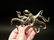 Brass Octopus Wall Key Hook Paperweight - 3