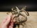 Brass Octopus Wall Key Hook Paperweight - 7