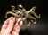 Brass Octopus Wall Key Hook Paperweight - 9