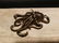 Brass Octopus Paperweight