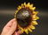 Cast Iron Folk Art Beer Soda Bottle Cap Sunflower - 2
