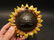 Cast Iron Folk Art Beer Soda Bottle Cap Sunflower - 3