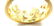 Carrera Y Carrera Mi Princes Spanish Crown Diamond 18k - 5