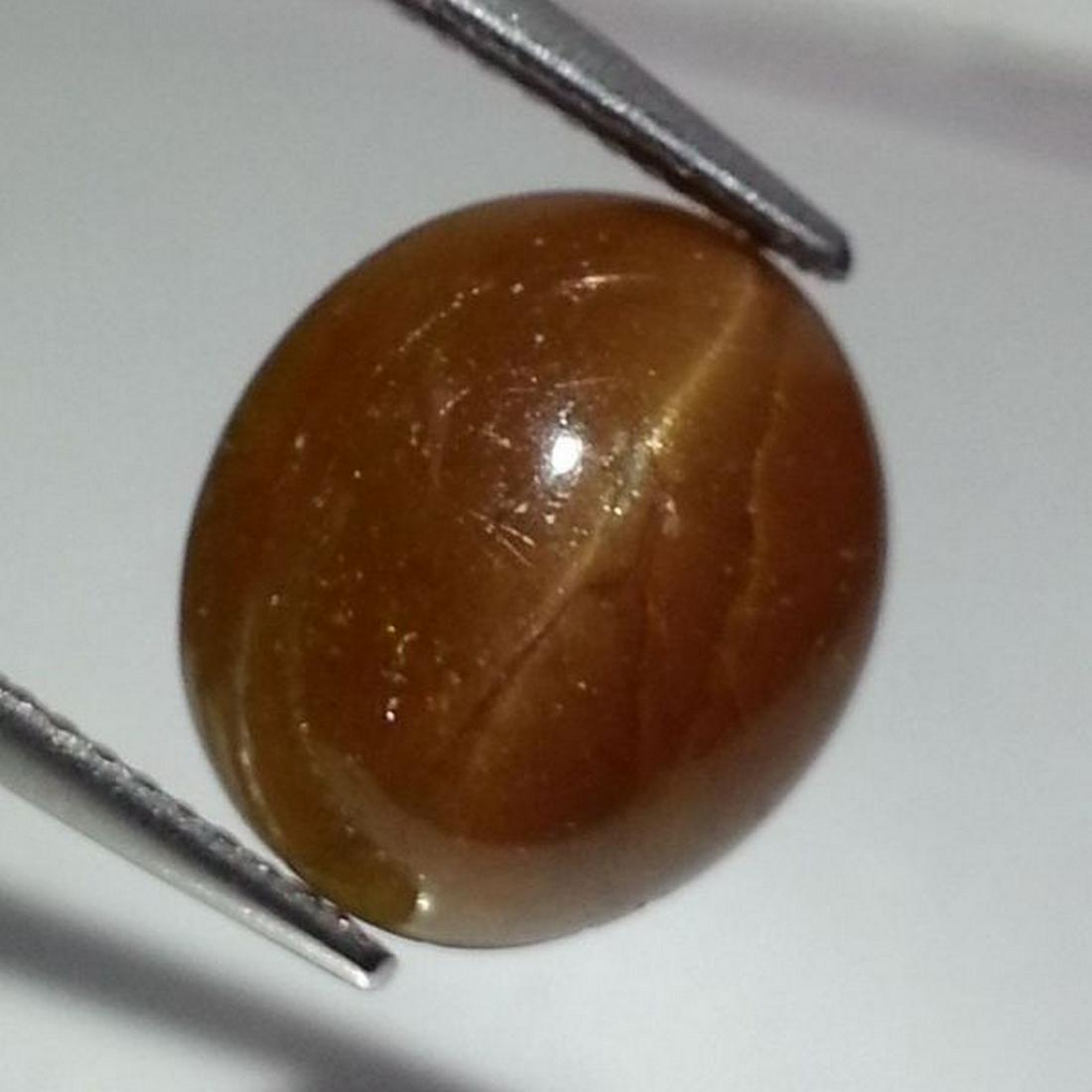 9.59 ct Natural Apatite cat's Eye: No Reserve! Title: 9.59 ct Natural Apatite cat's Eye Color/Clarity: Semi Transparent Gemstones: Loosegemstone Carat Weights: 9.59 Size/Dimensions: 13.40 x 11.80 x 7.00 Additional Information: Oval - A