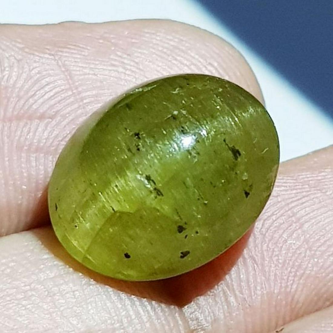 15.22 ct Natural Apatite cat's Eye: No Reserve! Title: 15.22 ct Natural Apatite cat's Eye Color/Clarity: Semi Transparent Gemstones: Loosegemstone Carat Weights: 15.22 Size/Dimensions: 15.40 x 12.40 x 9.40 Additional Information: Oval -