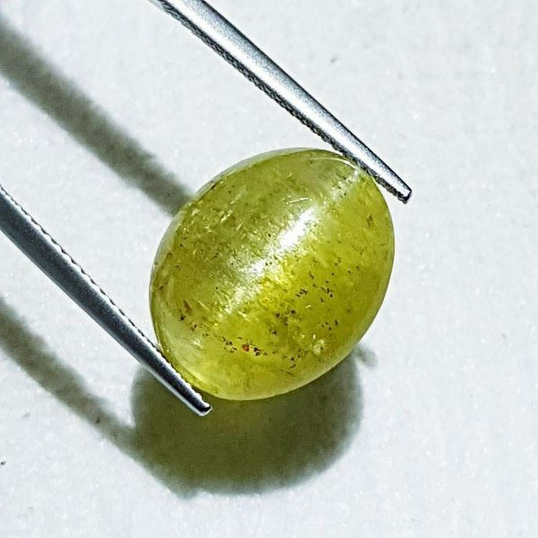16.30 ct Marvelous Natural Apatite cat: No Reserve! Title: 16.30 ct Marvelous Natural Apatite cat's Eye Color/Clarity: Semi -Transparent Gemstones: Loosegemstone Carat Weights: 16.3 Size/Dimensions: 16.50 x 13.50 x 8.90 Additional Informati