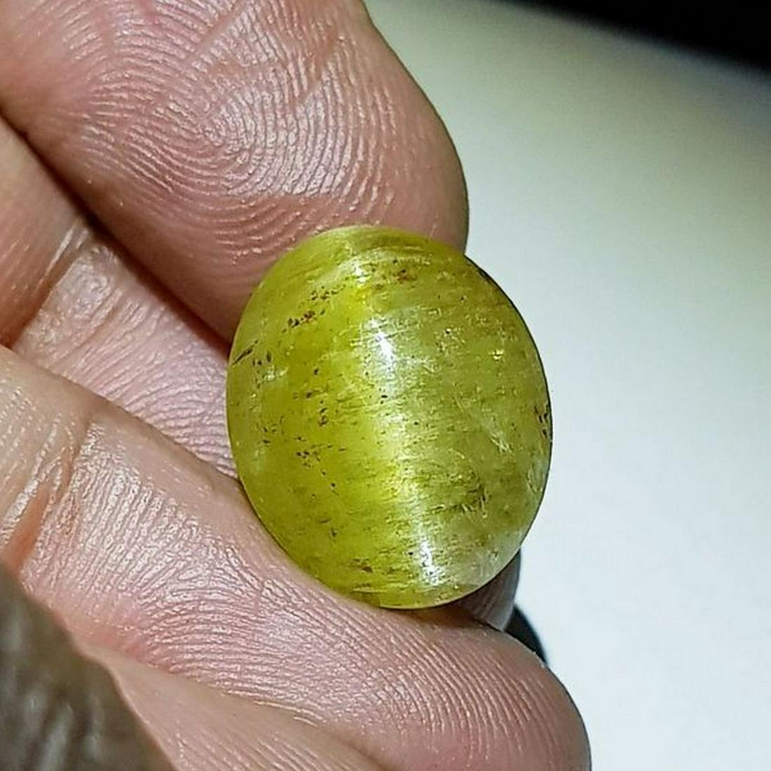 16.37 ct Natural Apatite cat's Eye: No Reserve! Title: 16.37 ct Natural Apatite cat's Eye Color/Clarity: Semi Transparent Gemstones: Loosegemstone Carat Weights: 16.37 Size/Dimensions: 16.50 x 13.50 x 9.00 Additional Information: Oval -