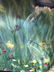 Oil on Canvas of a Young Girl in a Garden Signed - 4