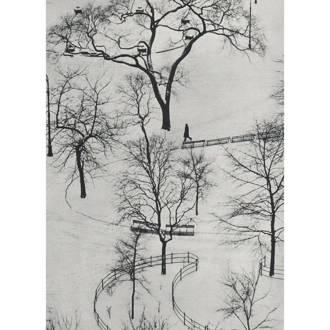 ANDRE KERTESZ - Washington Square, 1954 (1 of 1)