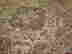 item-88290067=3