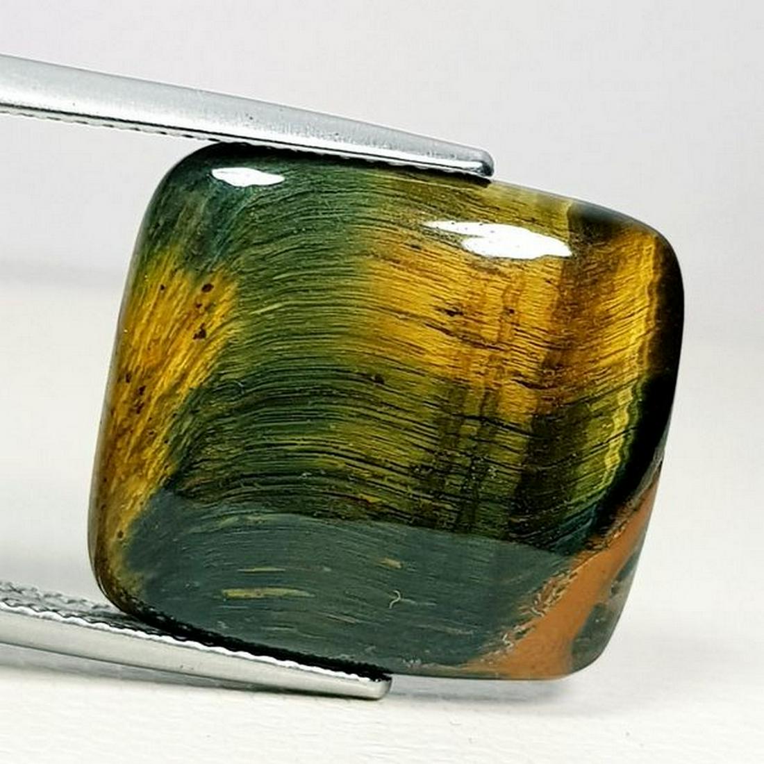 14.10 ct Natural Black Tiger Eye (1 of 6)