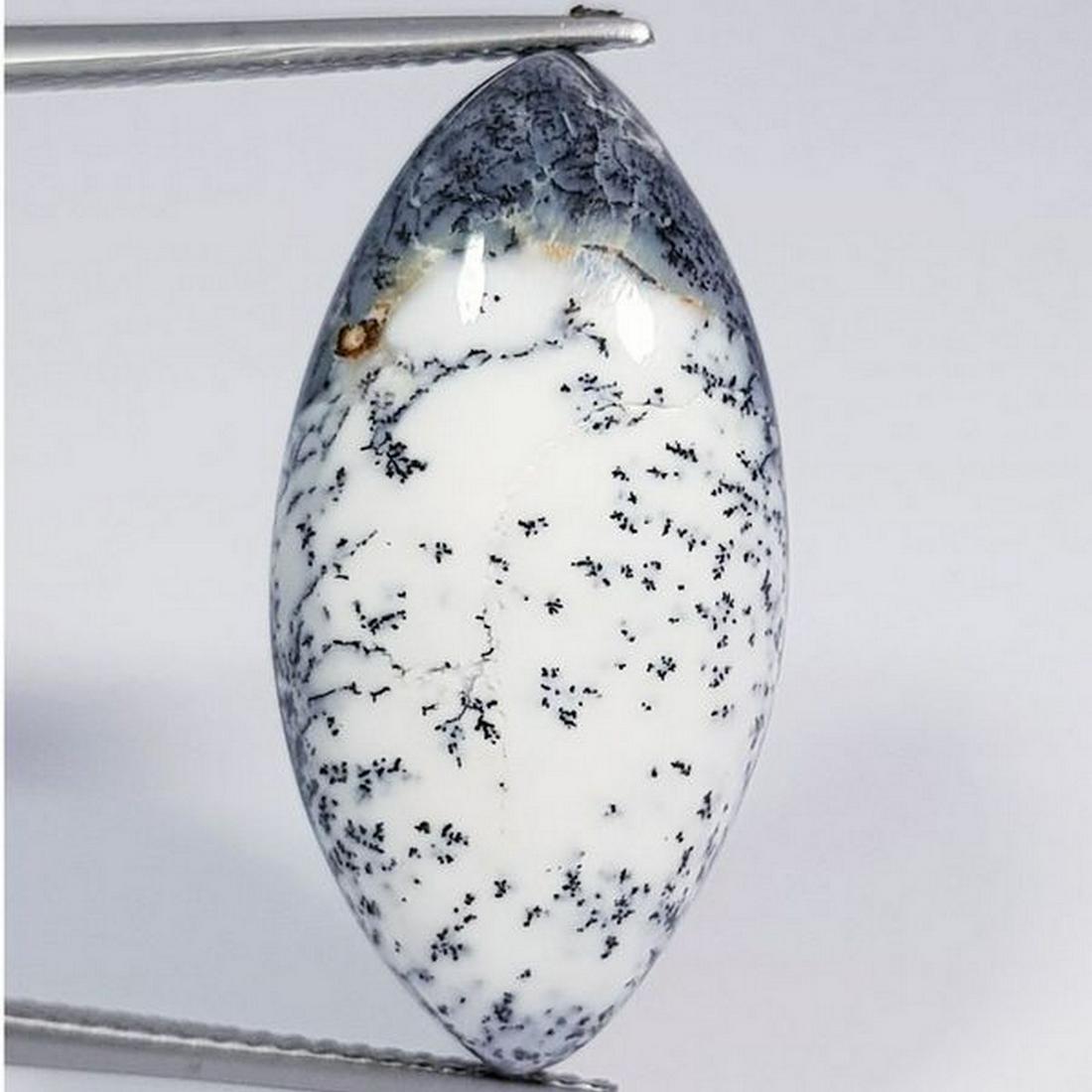 16.55 ct Natural Dendrite Opal (1 of 6)