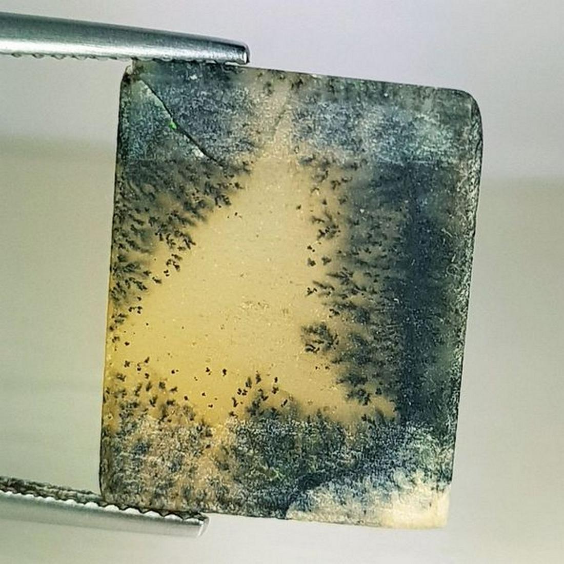 5.80 ct Natural Dendrite Opal (1 of 6)