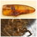 43 g. 100% natural Baltic amber stone fossil with