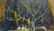 Oil painting Still life Oleinik Alexey Petrovich - 4