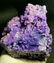 Museum Level Grape Agate , BOTRYOIDAL CHALCEDONY ,
