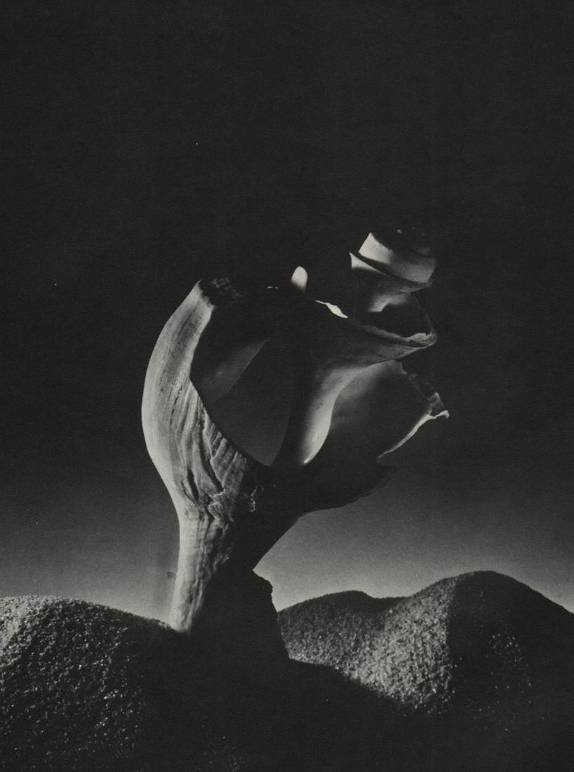 RUTH BERNHARD - Broken Shell: Artist: RUTH BERNHARD Print Title: Broken Shell Medium: Medium: Photo-lithograph Printed in: The USA, 1970’s< Image Size approx: 9 x 7” Ruth Bernhard (1905 – 2006), was a legendary San Francisco