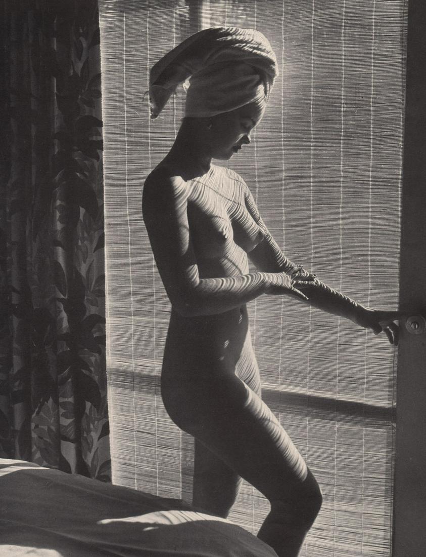 ANDRE DE DIENES - Hazy Sunlight through Bamboo Shade (1 of 1)