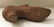 Paper Mache Shoe- souvenier of St. Louis World Fair - 2