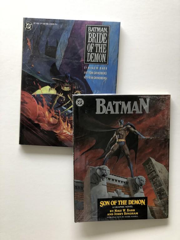 TWO BATMAN BOOKS (1 of 1)