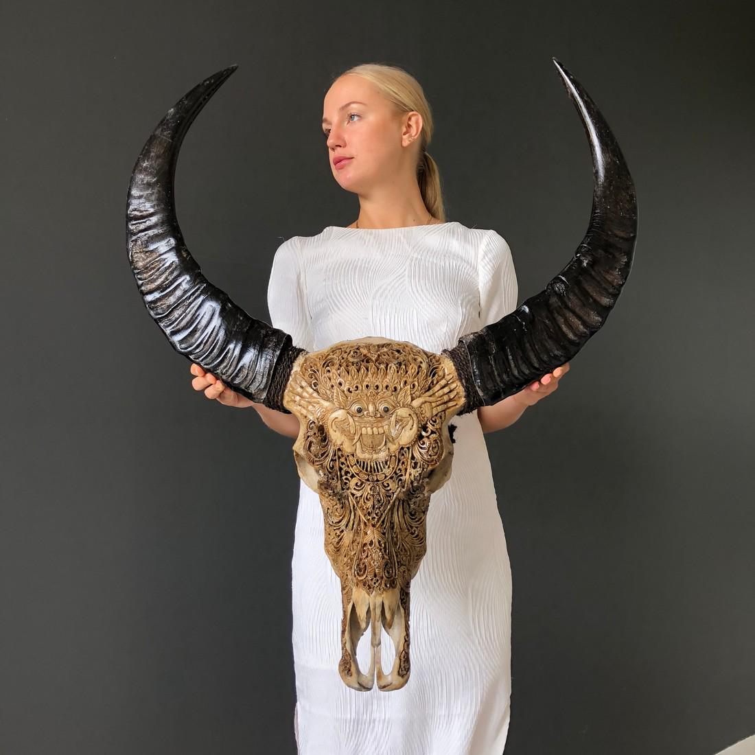 Water Buffalo Skull with Tradtional Balinese Barong: Title: Water Buffalo Skull with Tradtional Balinese Barong Engraving Maker: Wayan Origin: Bali, Indonesia Date/Period: 2019 Materials:Bone Dimensions:Length 87cm / 34.2 inches, width 77cm / 30.3 inche