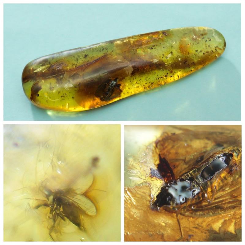 25 g stone of Natural Baltic amber with two insects (1 of 13)