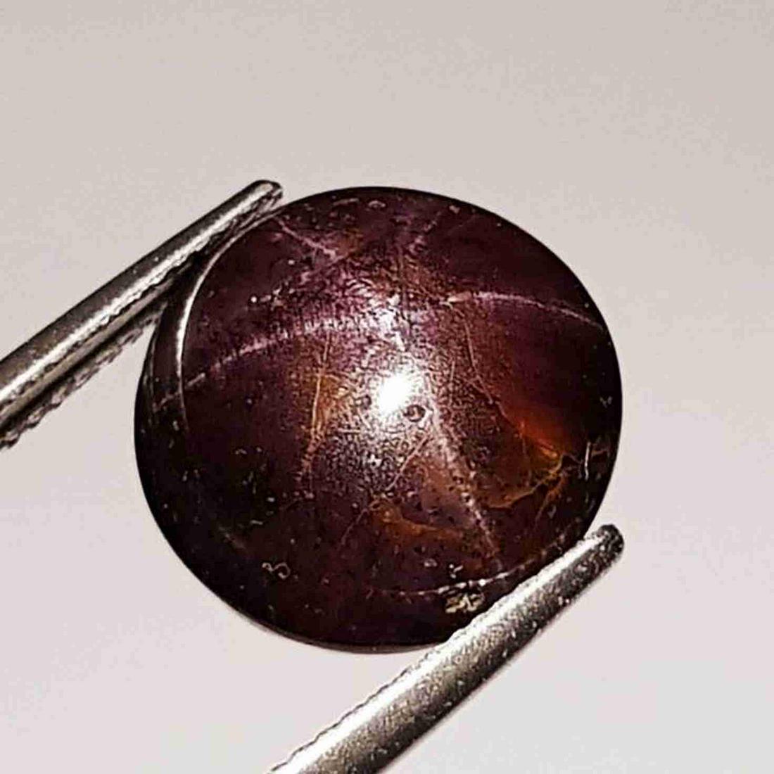 Natural Four Ray Star Garnet 19.31 ct (1 of 5)