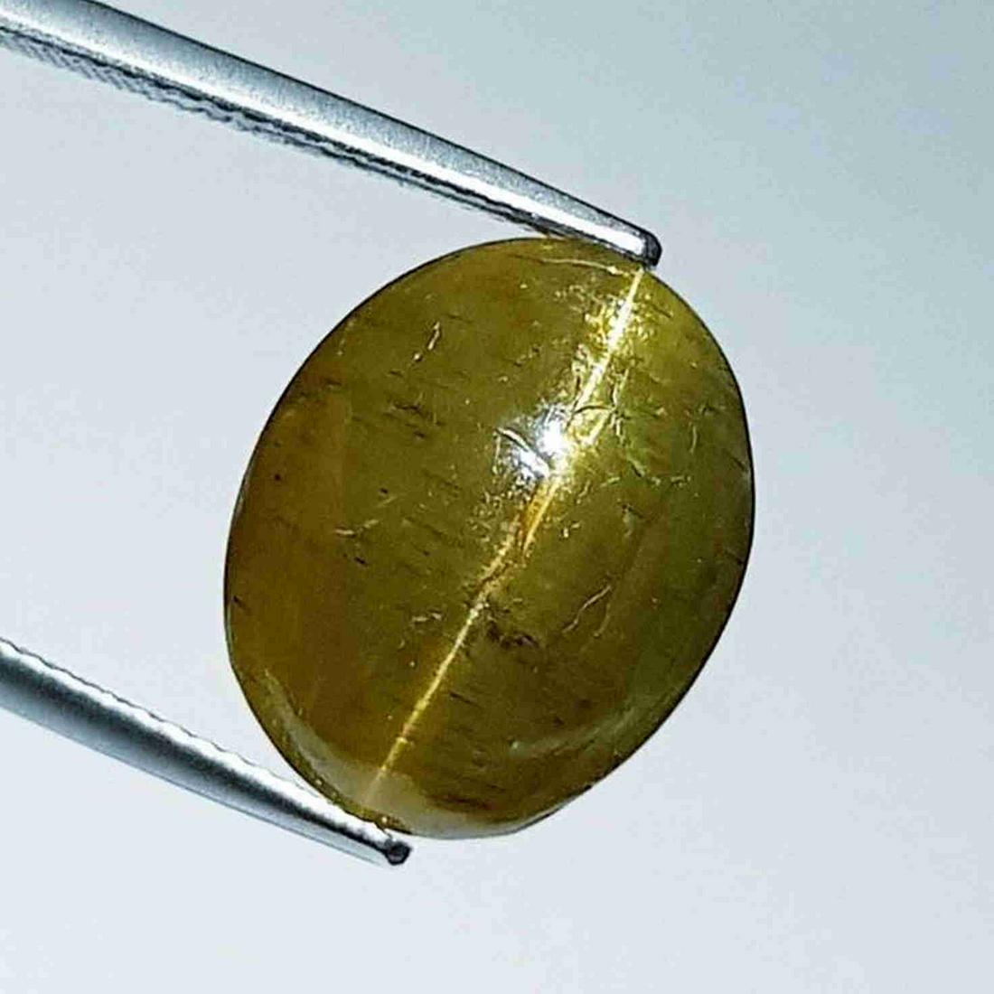 15.74 ct Natural Apatite cat's Eye: No Reserve! Title: 15.74 ct Natural Apatite cat's Eye Color/Clarity: Semi Transparent Gemstones: Loosegemstone Carat Weights: 15.74 Size/Dimensions: 15.75 x 12.75 x 8.70 Additional Information: Oval -